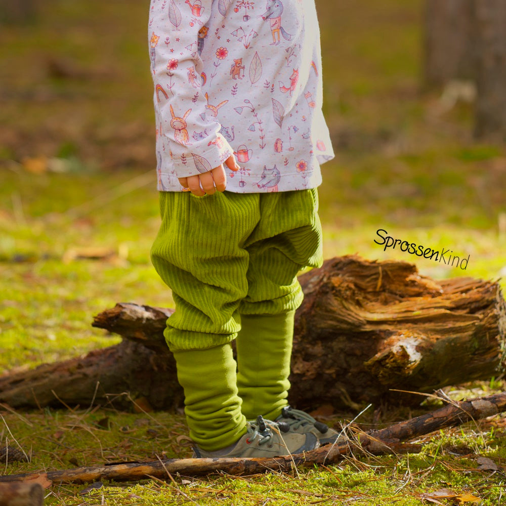 Knickerbocker Cordnicky Kiwi